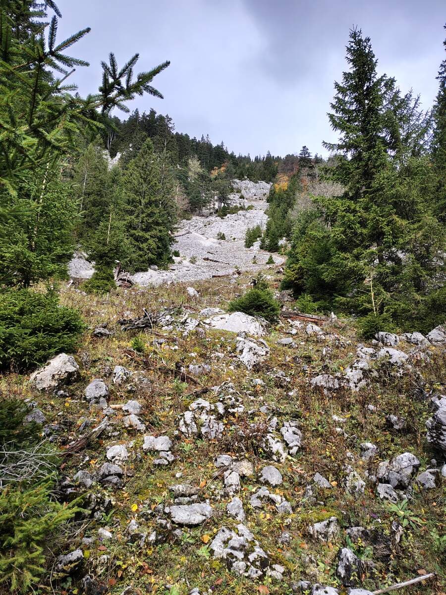 Einstiegsstelle