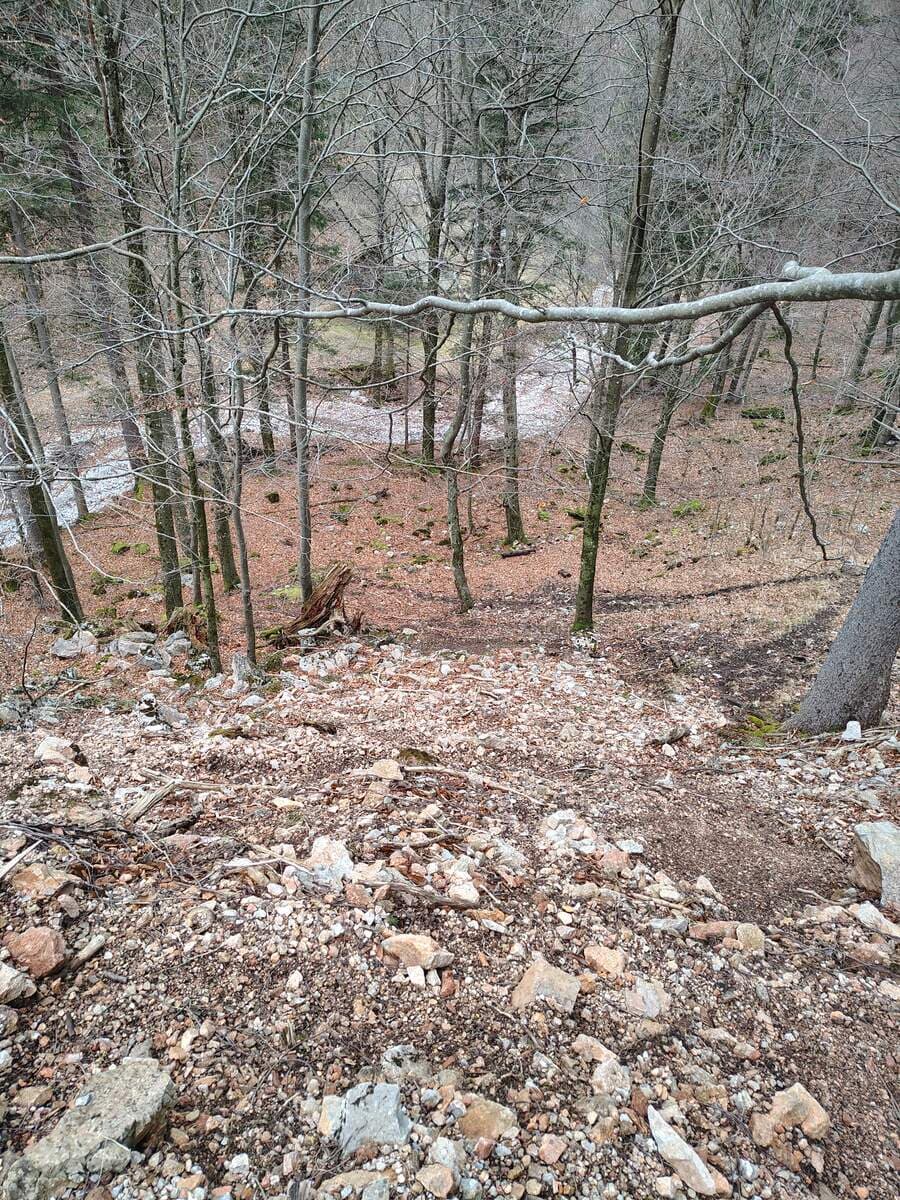 Einstiegsvariante / Abkürzung kurz nach der Wildfütterung