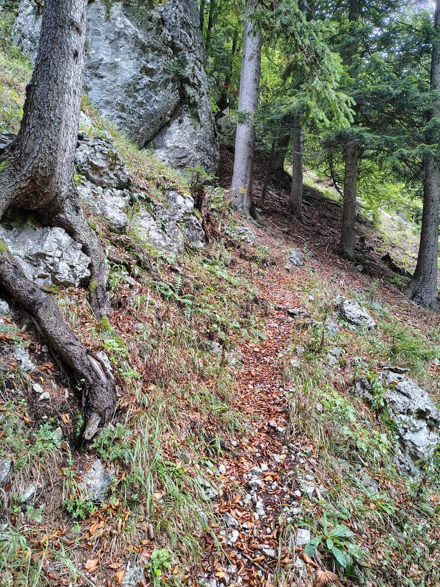 Felswand, links umgehen