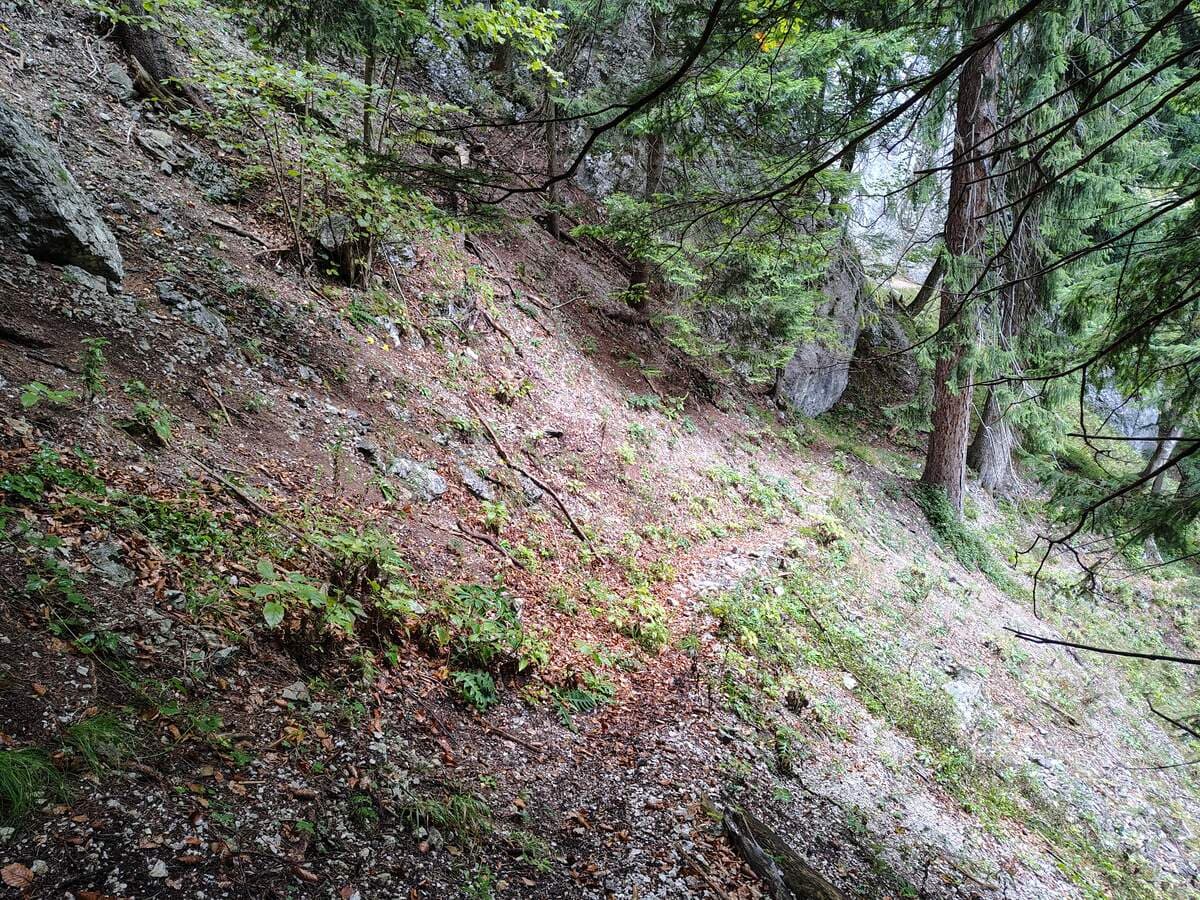 Rückblick zur Felswand