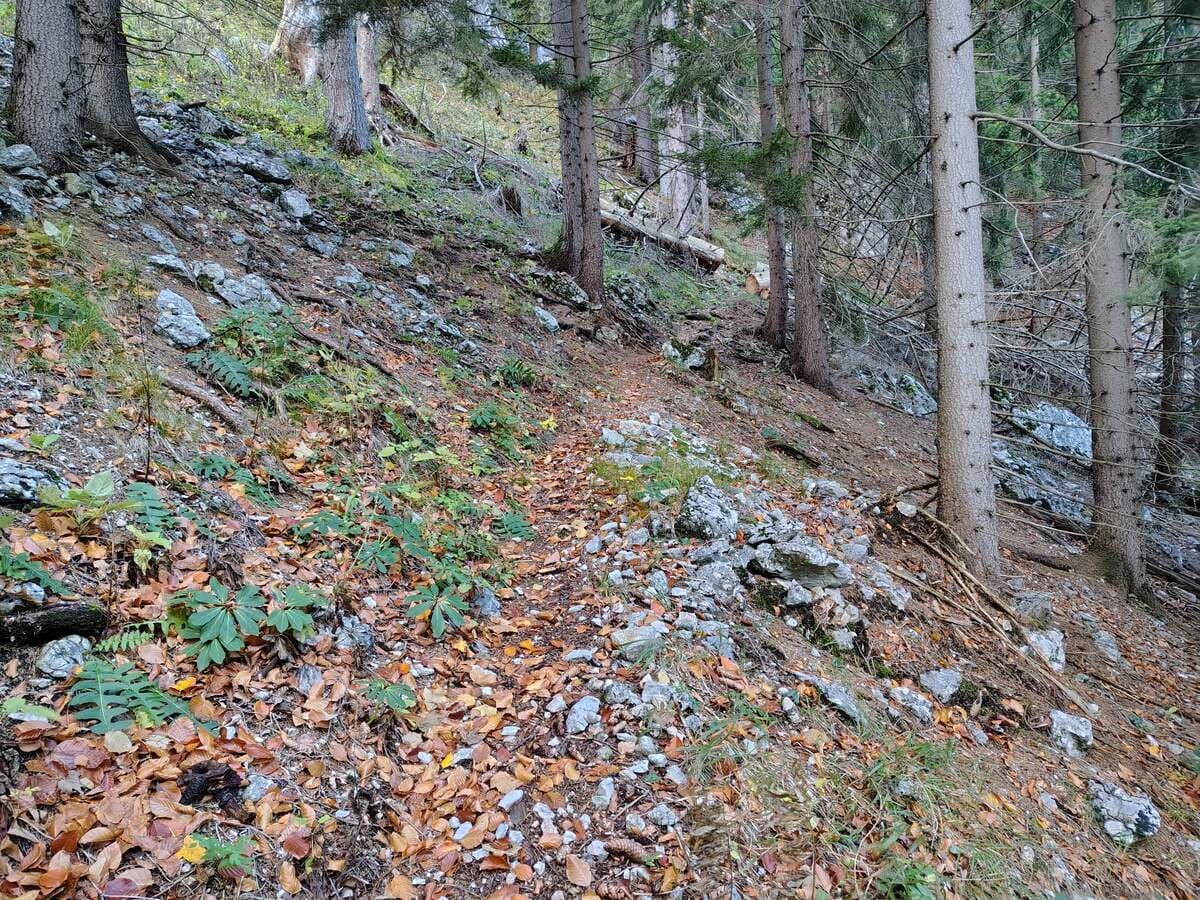 Erstes, starkes Schwenken nach rechts