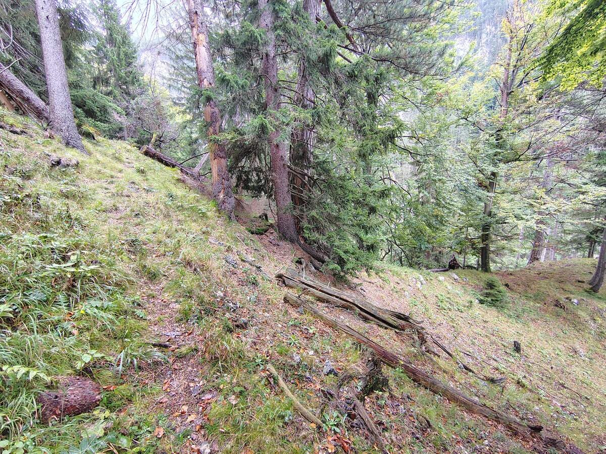 Verlauf, bevor der Steig wieder nach links schwenkt
