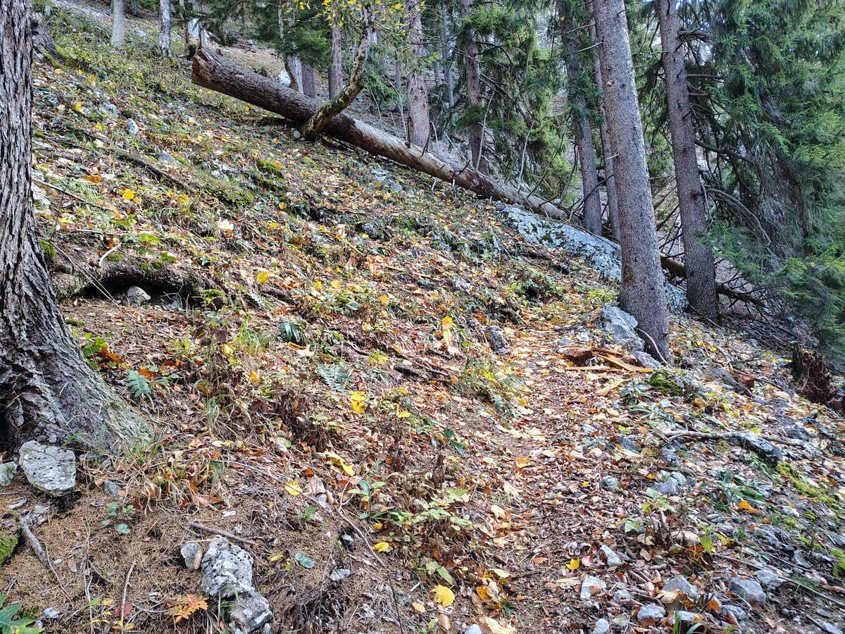 Danach beginnt wieder eine Zickzack-Passage