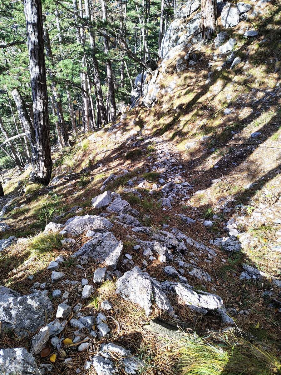 Verlauf (Rückblick)