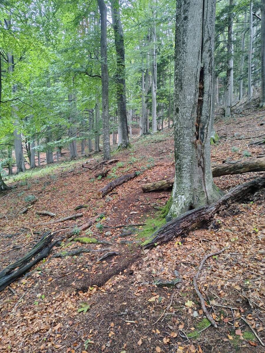 Brettschacher-Plateau