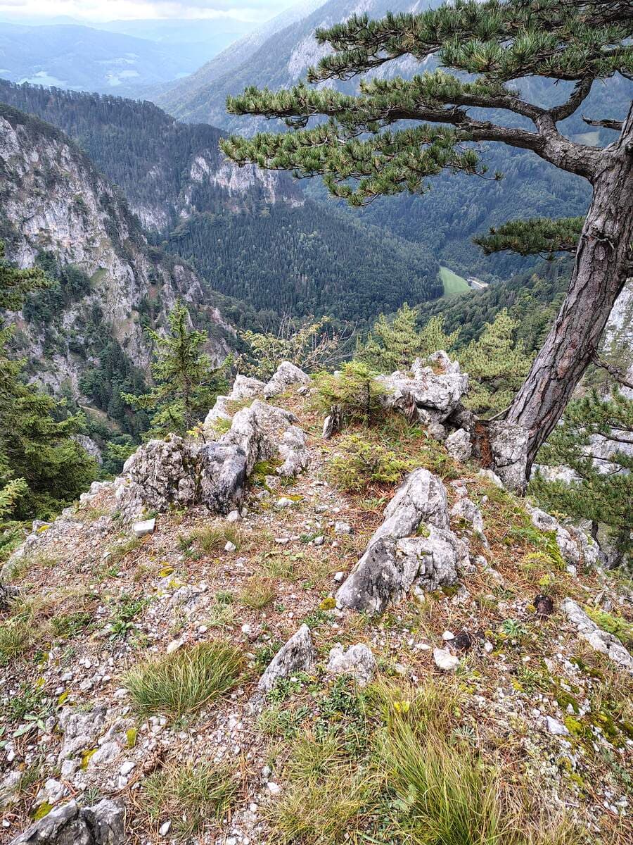 Felsvorsprung mit Aussicht