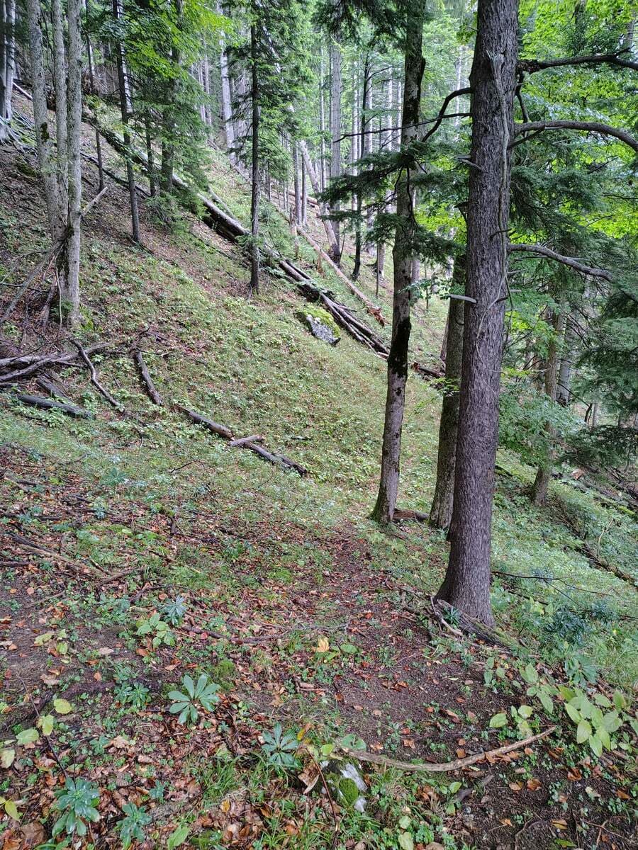 Rückblick in der Nähe des Wasserofenlochs