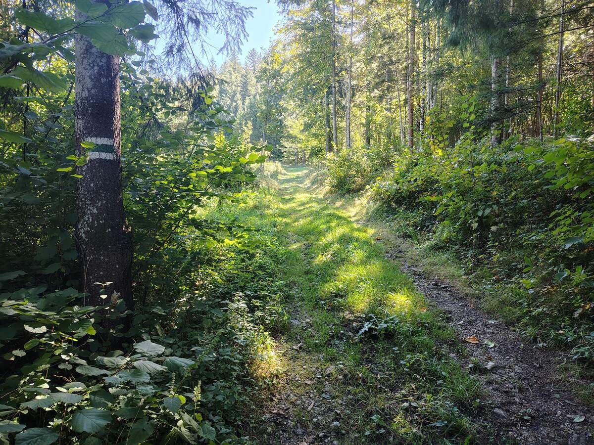 Beginn der grünen Markierung