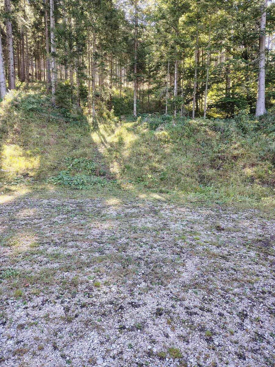 Zustieg bei der ersten Forststraße