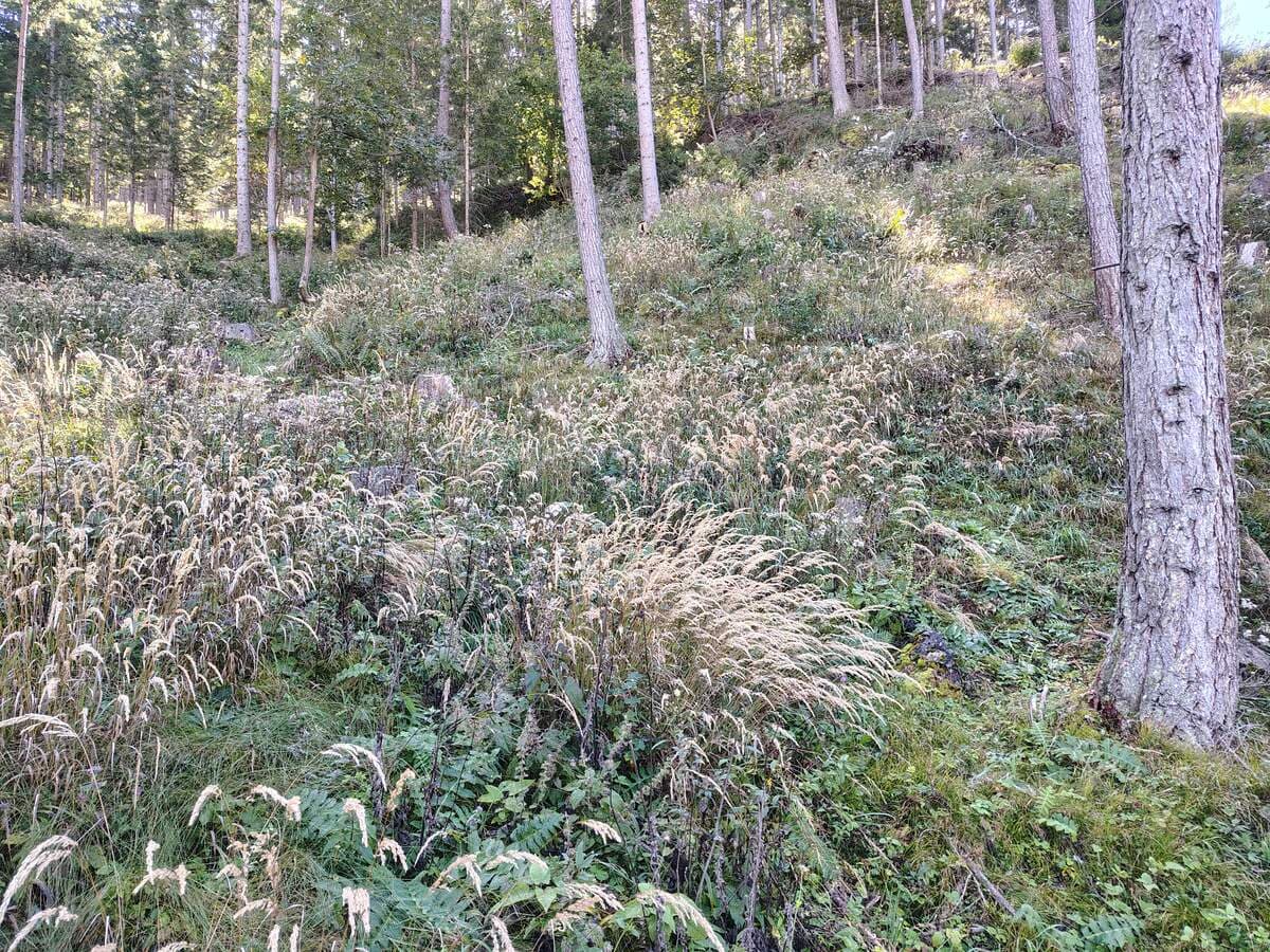 Hügel, links geht's weiter