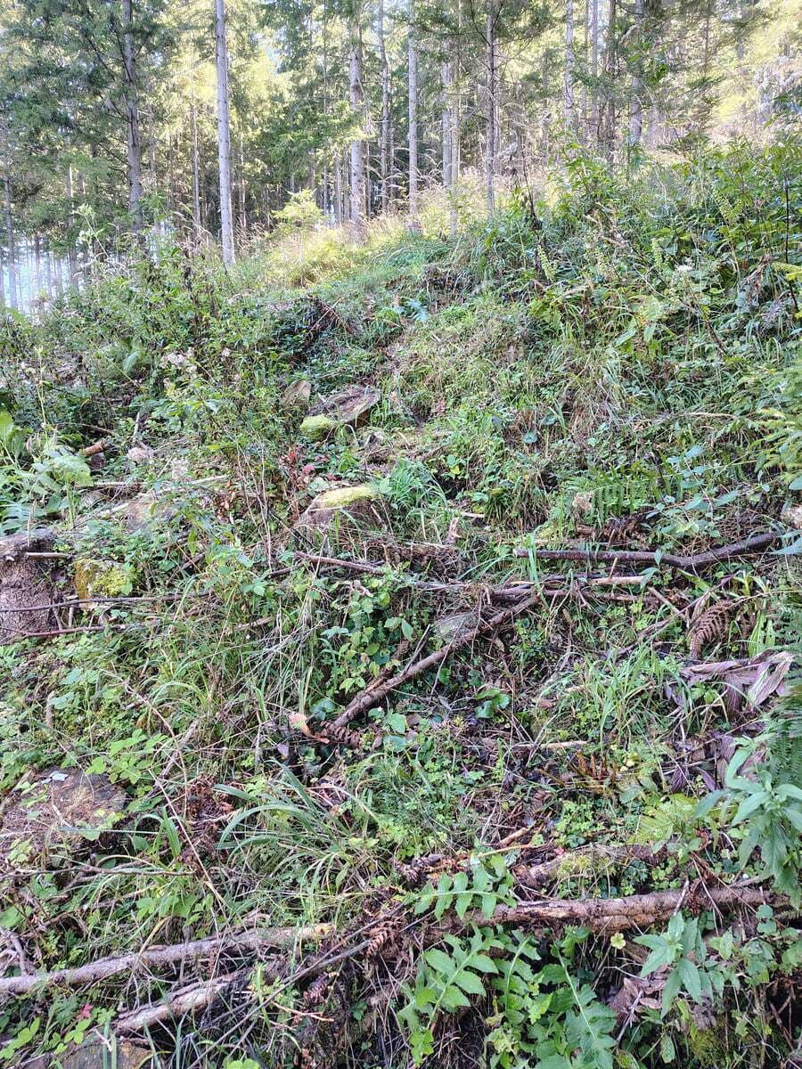 Kurz vor dem Ausstieg