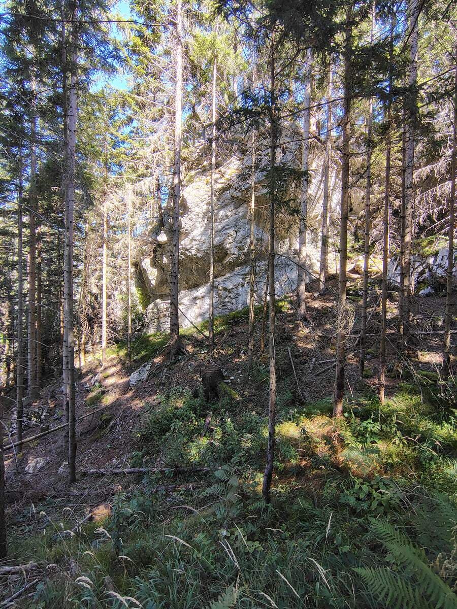 Felsgebilde, links von der Steigspur