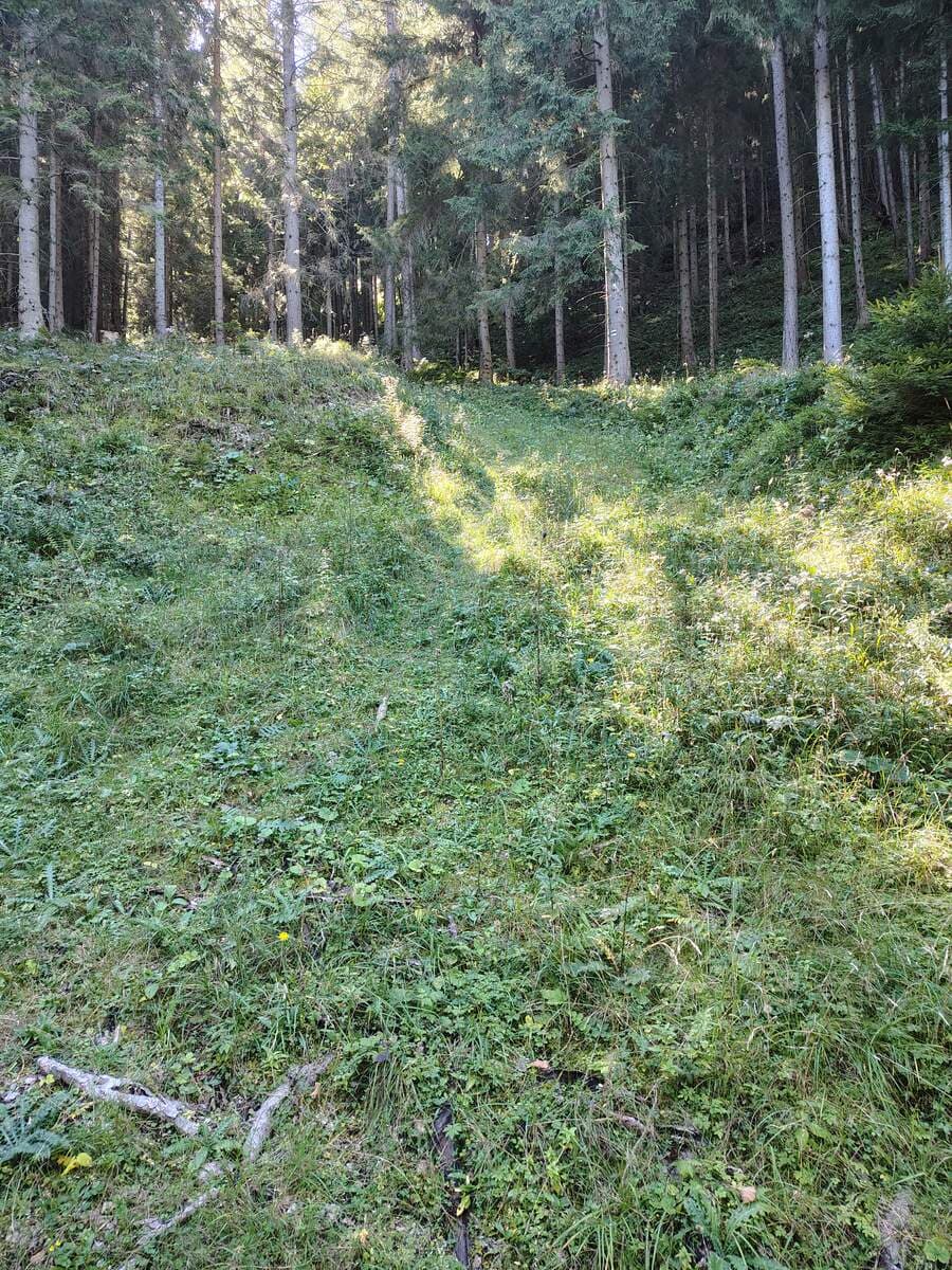 Kurz vor dem Ausstieg auf die 3. Forststraße