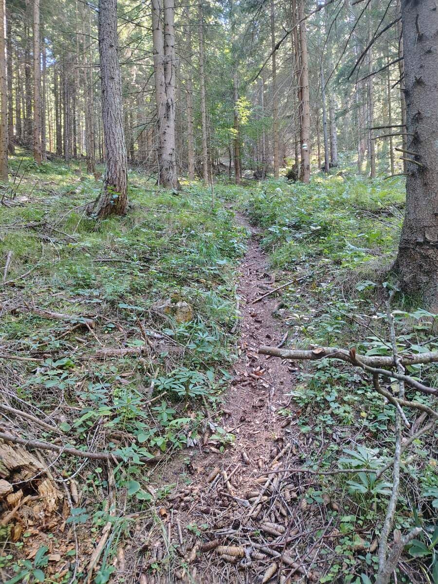 Verlauf, gut ausgetreten