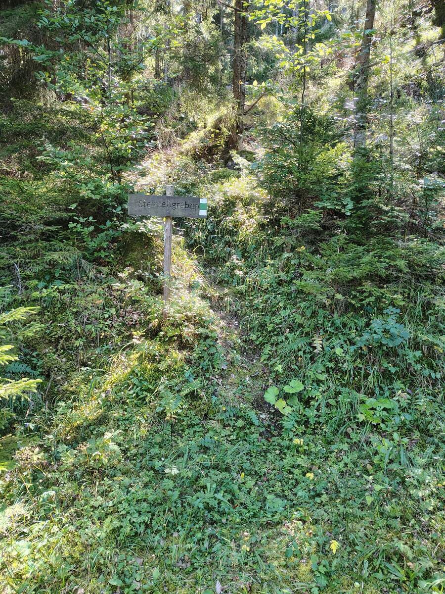 Zustieg 4. Forststraße