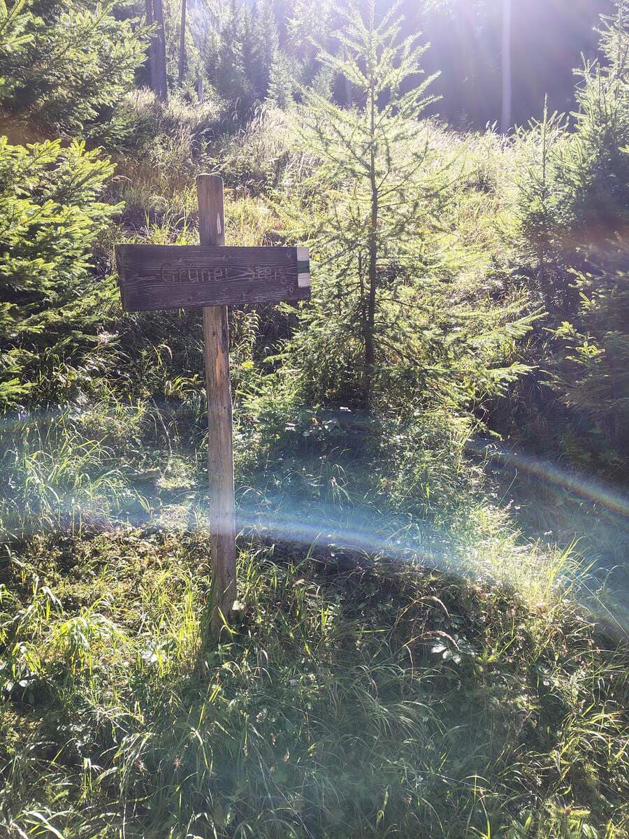 Zustieg 5. Forststraße