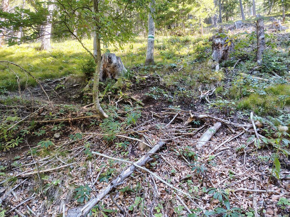 Verlauf, Kammanstieg