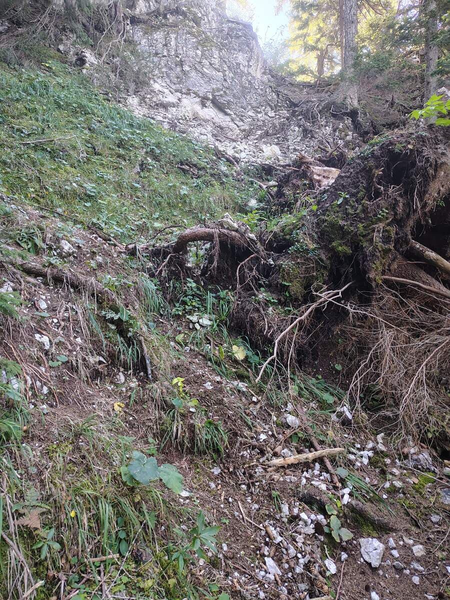 Verlauf, links geht es weiter