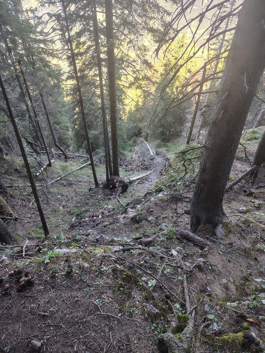 Rückblick, bevor der Steig schwenkt (auf dem Bild rechts)