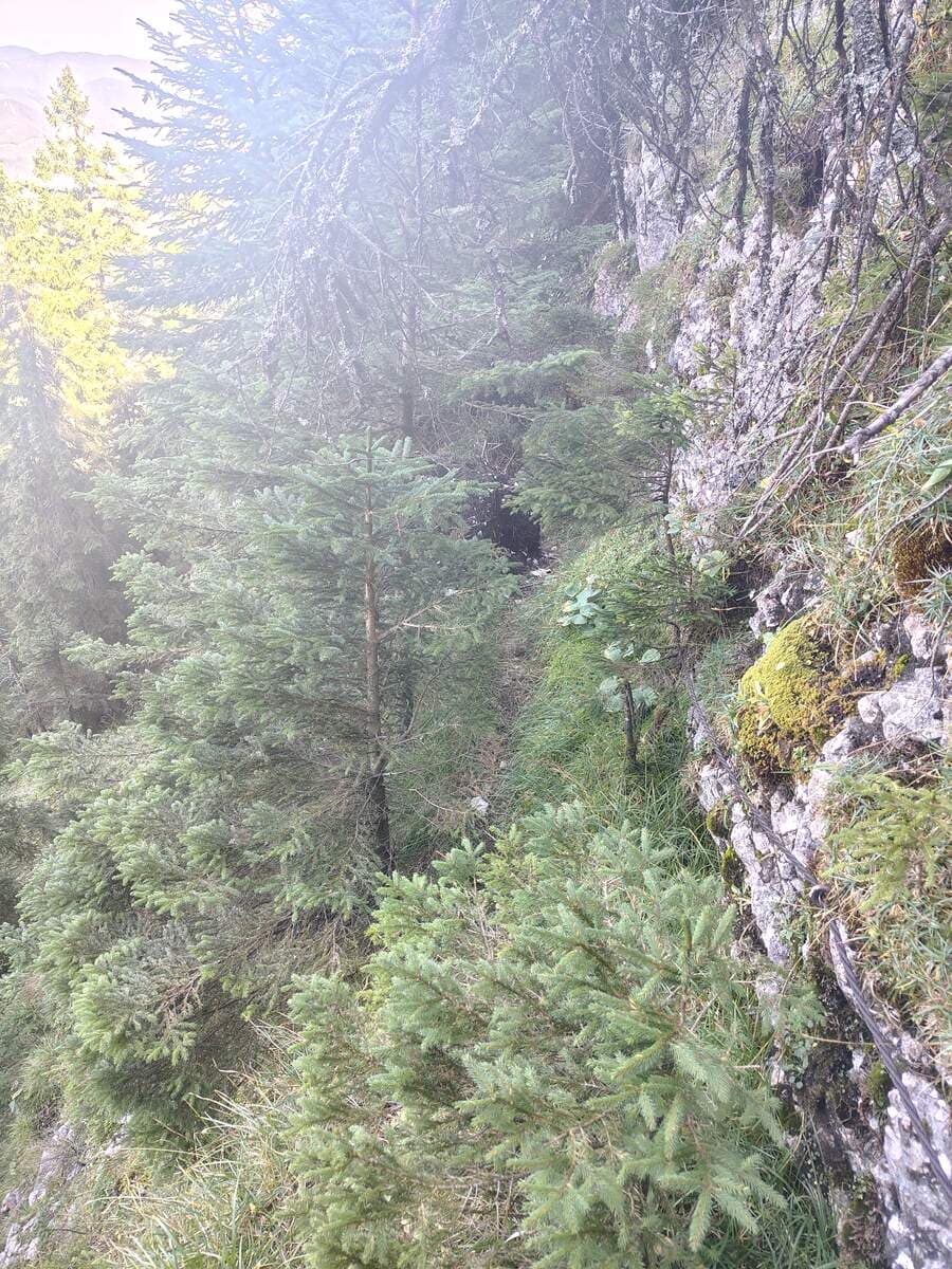 Schmall, leicht ausgesetzt, aber versichert