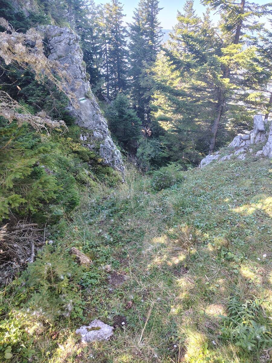 Ausstiegsstelle (Rückblick)