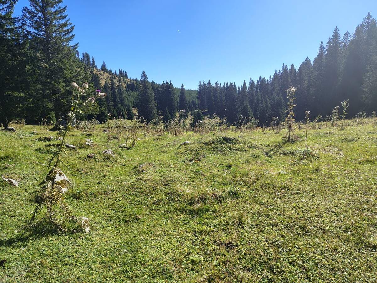Ausstiegsstelle auf dem Plateau des Kuhschneebergs