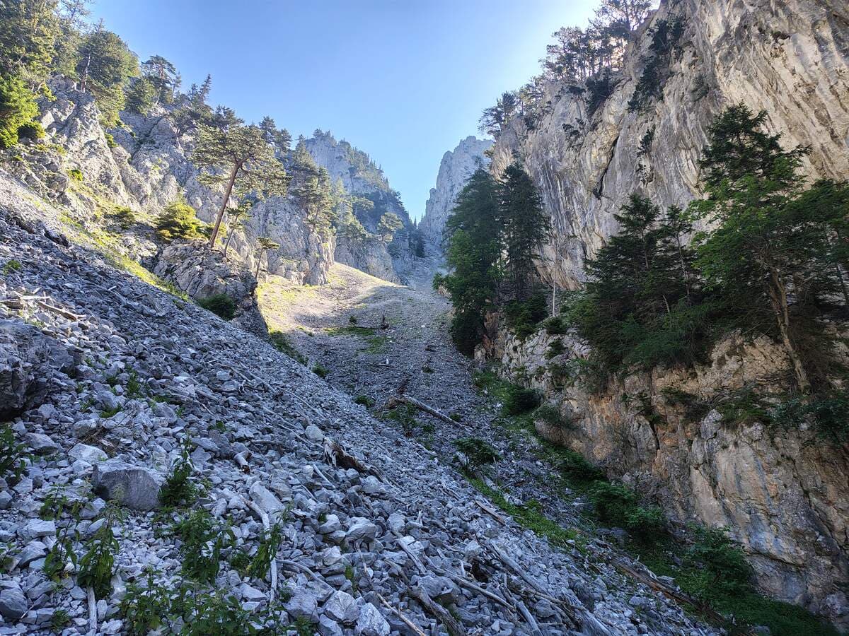 Rückblick