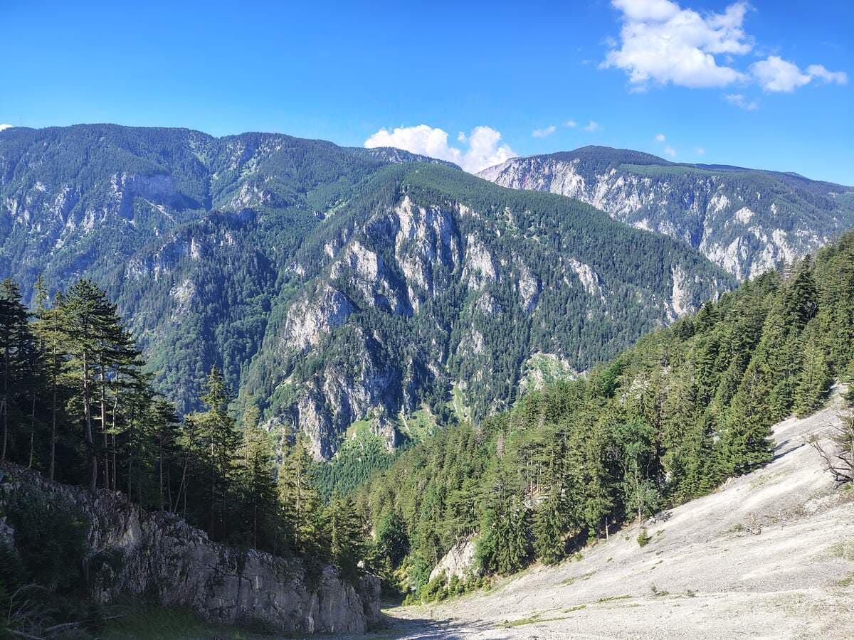 Aussicht auf die benachbarte Rax