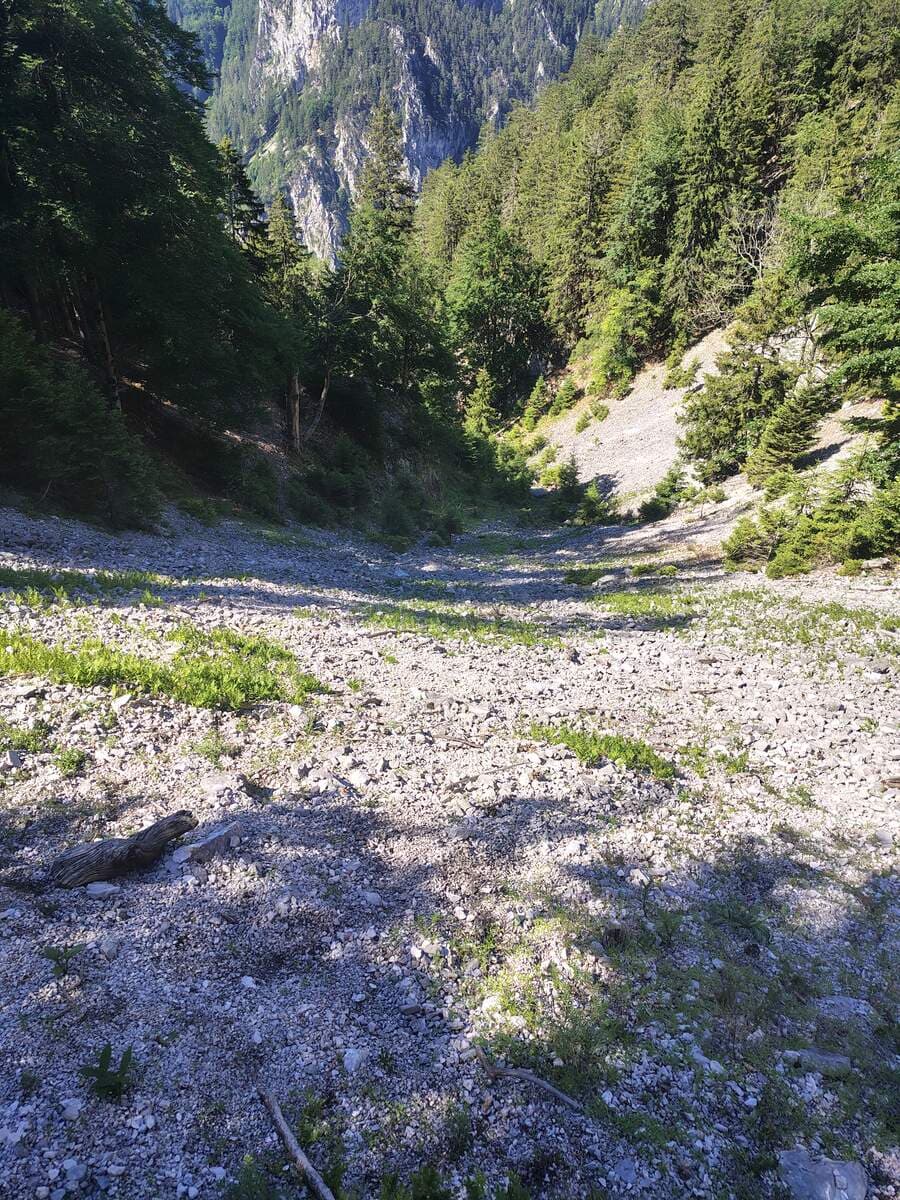 Verlauf, unten, wo die Sohle grün wird