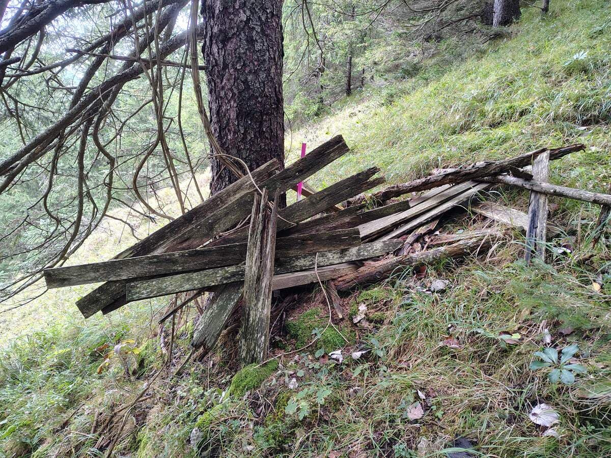 Nach links führendes Steiglein ober der Forststraße