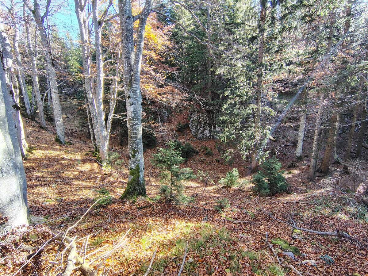 Ausstieg am Kuhschneeberg (herbstliches Theme)