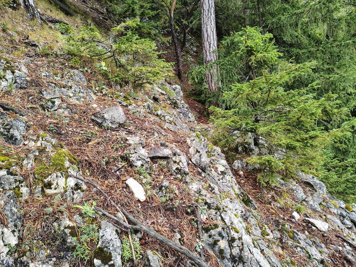 Ebenso die Fortsetzung von jenem Vorsprung