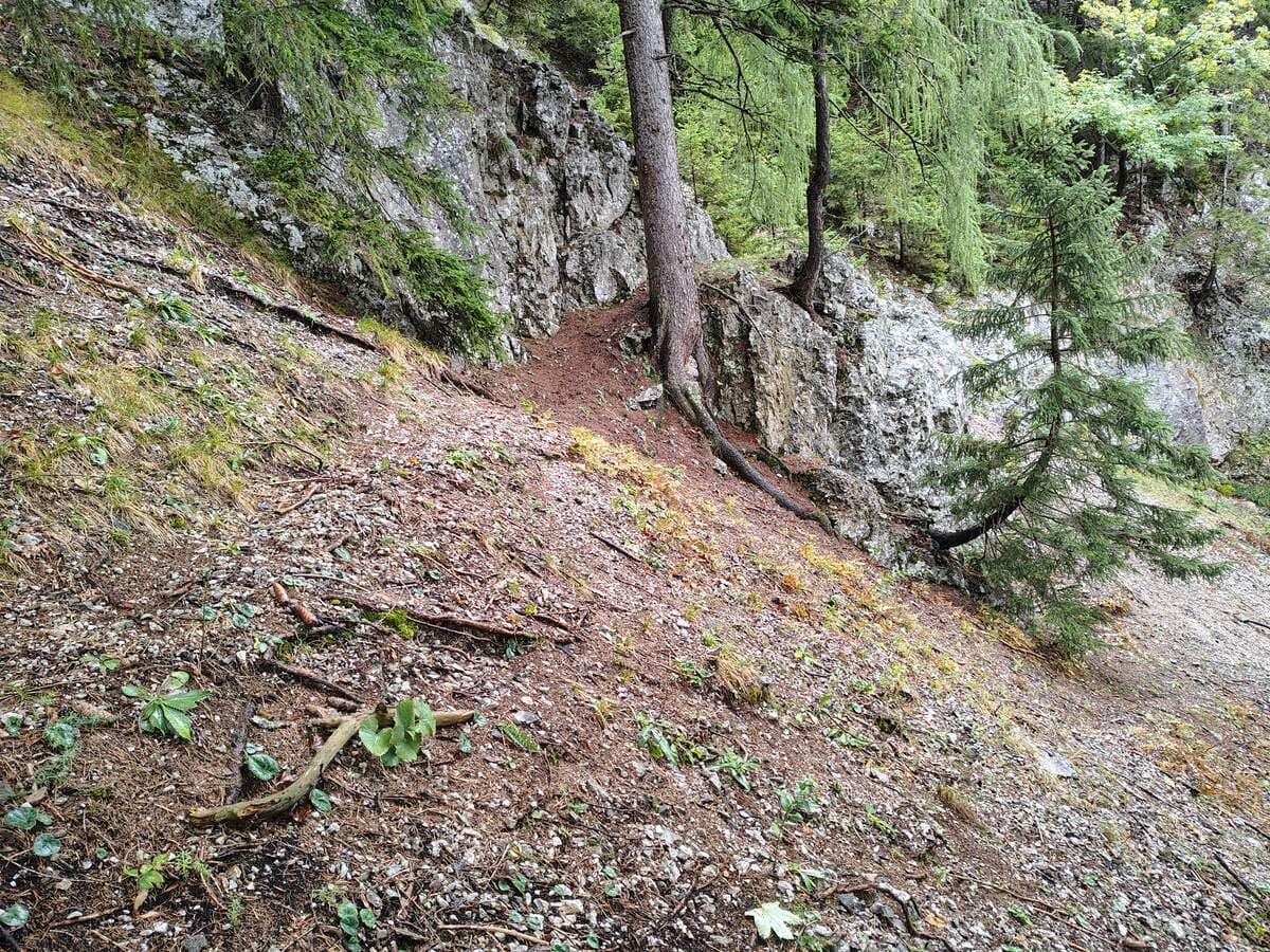 Die erdige Rampe geg. vom Geröllfeld