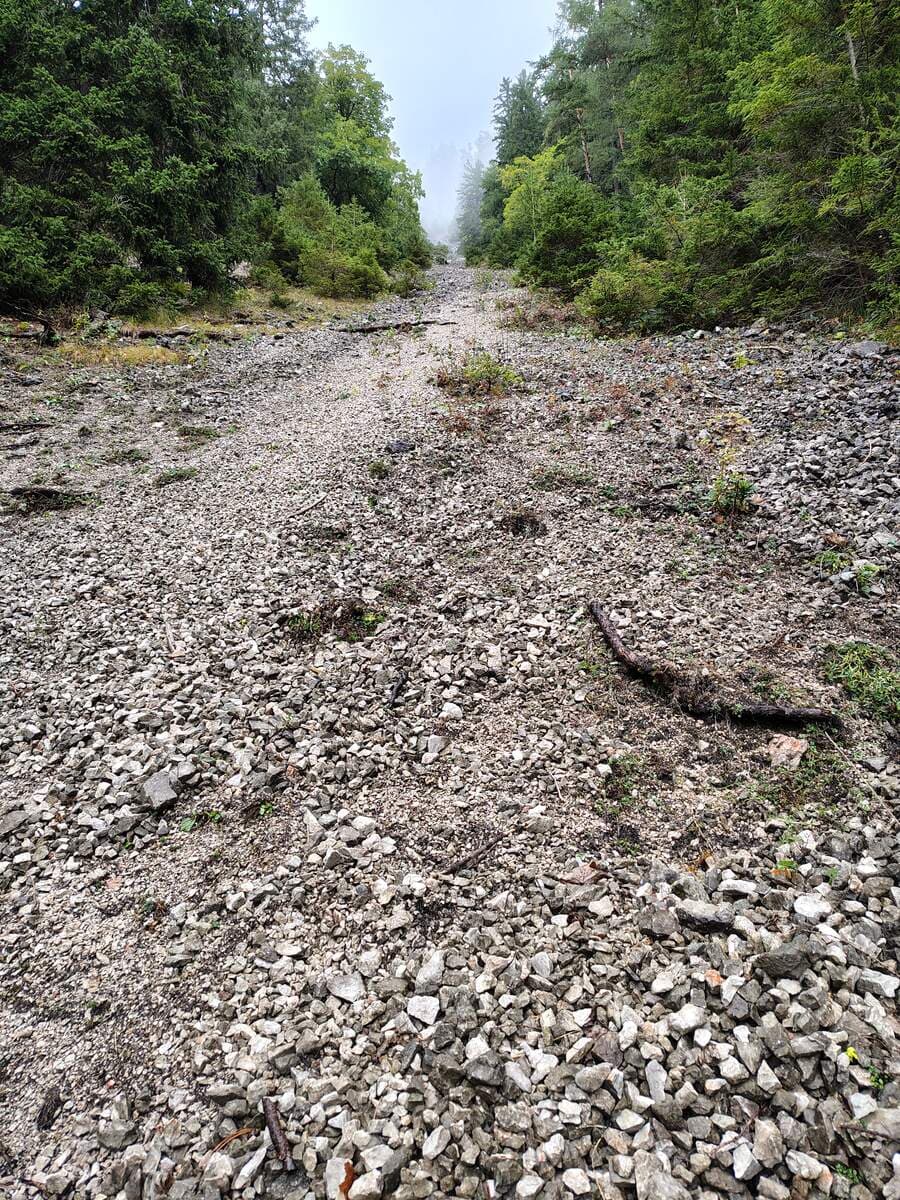 Selbes Geröllfeld mit Blick nach oben