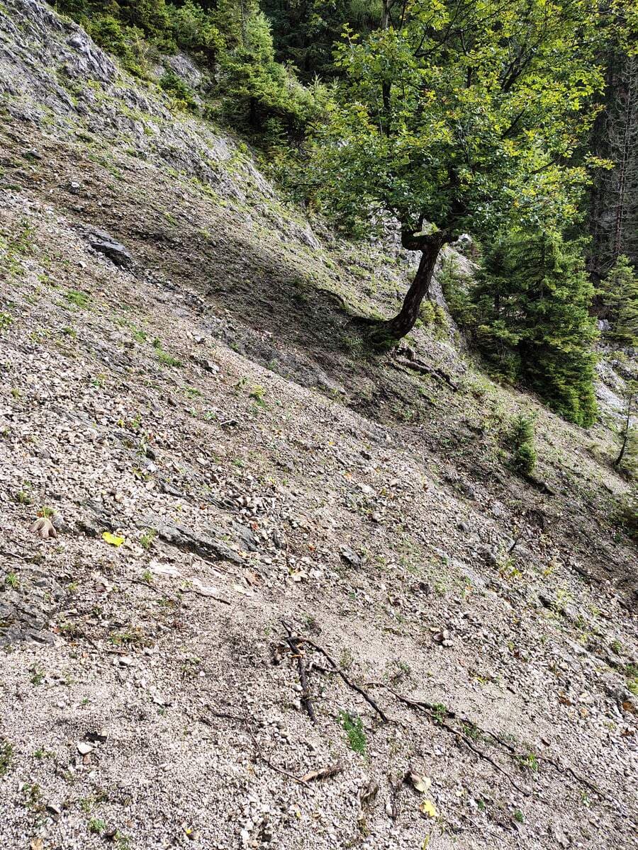 Prügelgraben, Hauptstrom