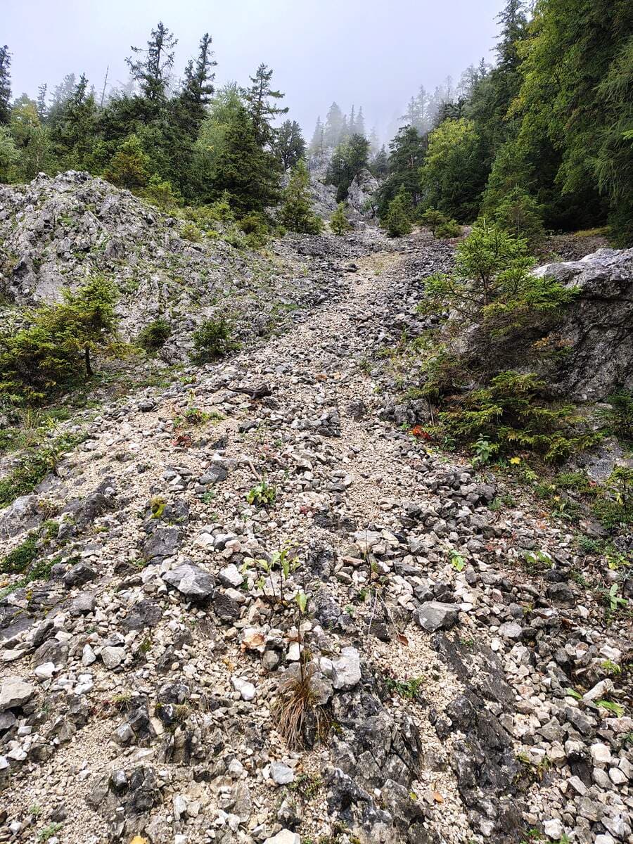 Blick nach oben (orografisch links)