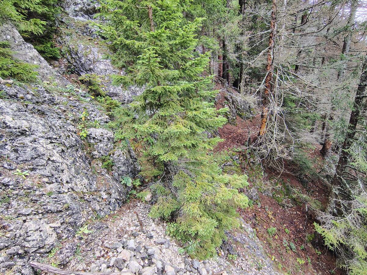 Fortsetzung nach dem Prügelgraben