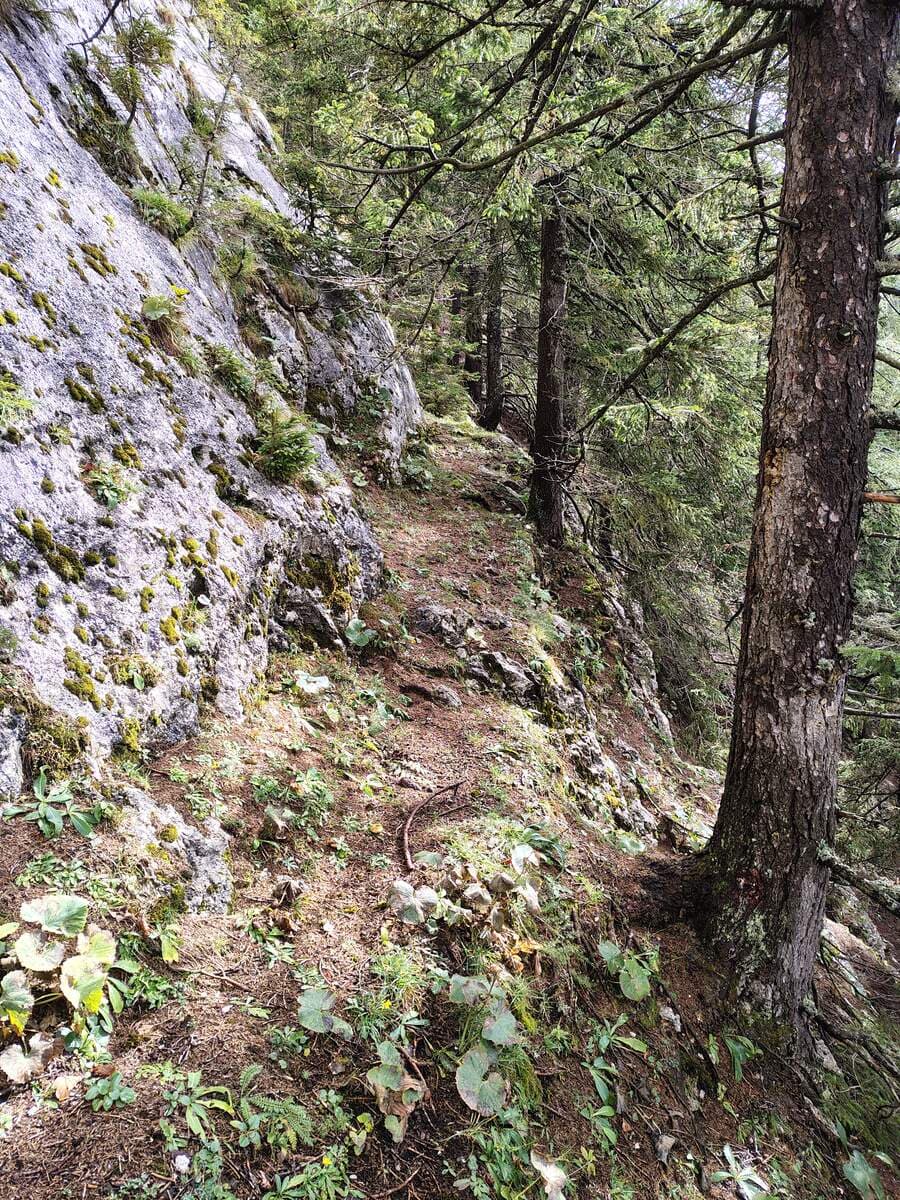 Fortsetzung nach dem Stift