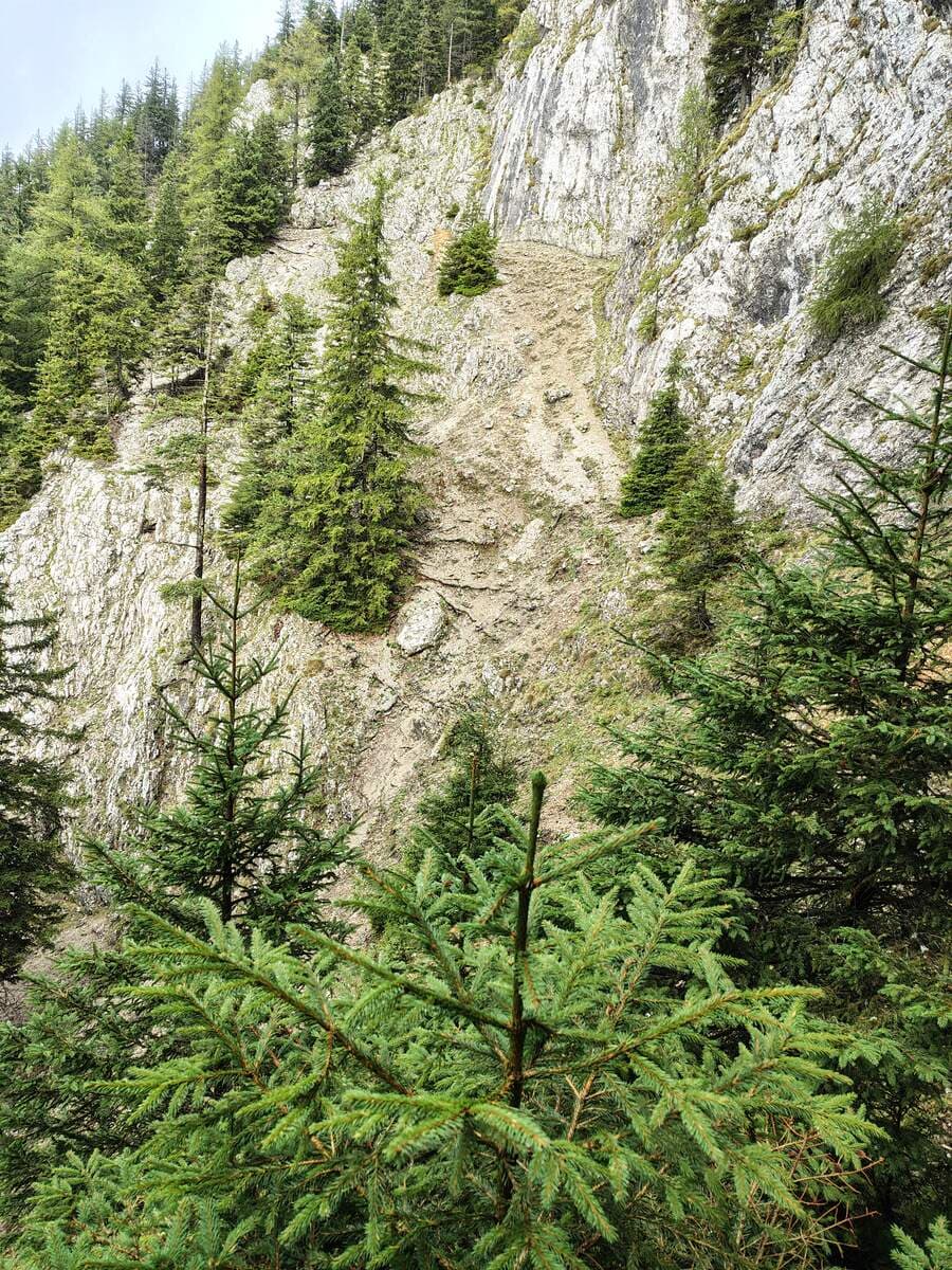 Verlauf, vorne bei der Felswand rechts: Wilder Ausstieg