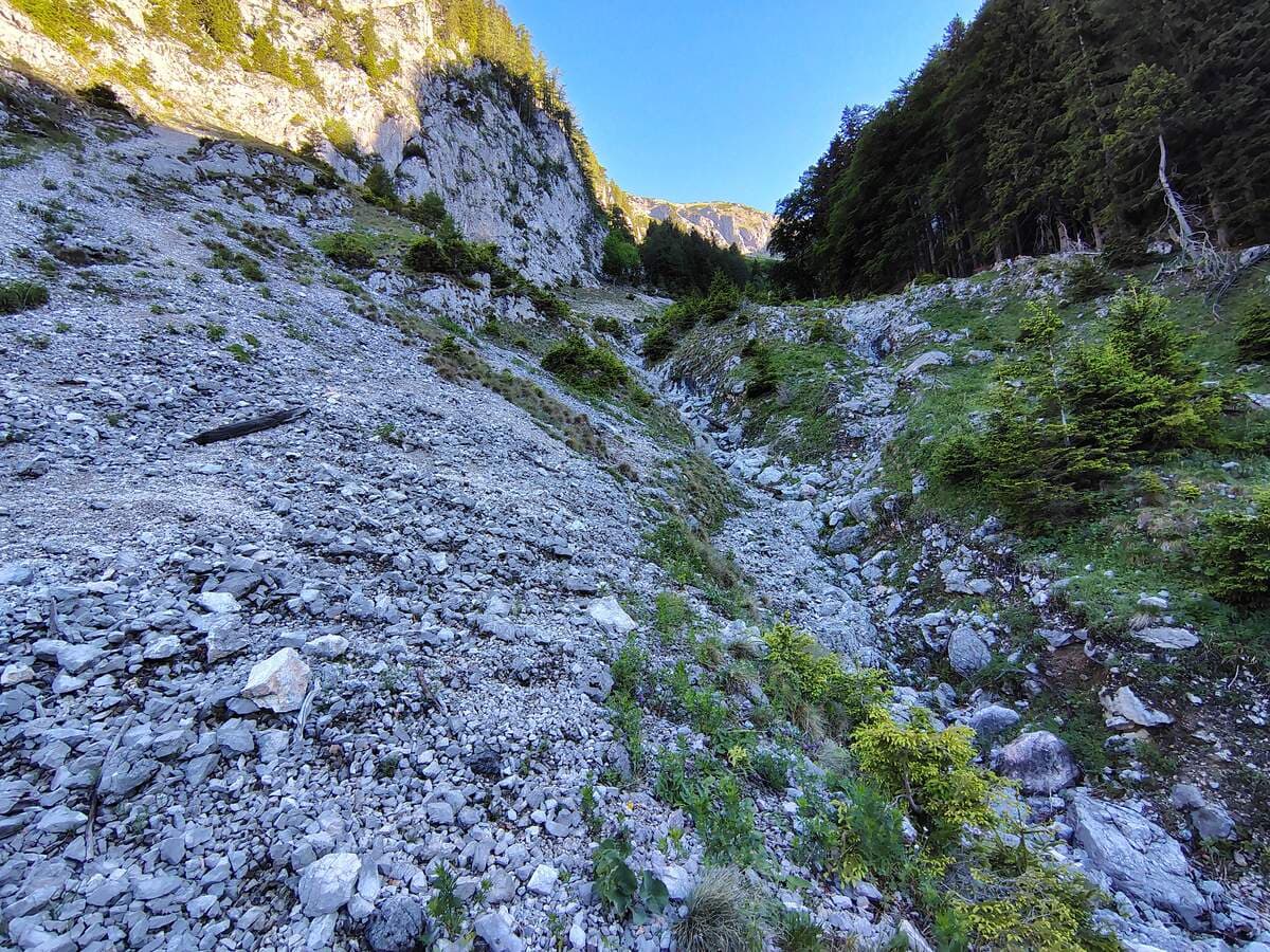 Verlauf