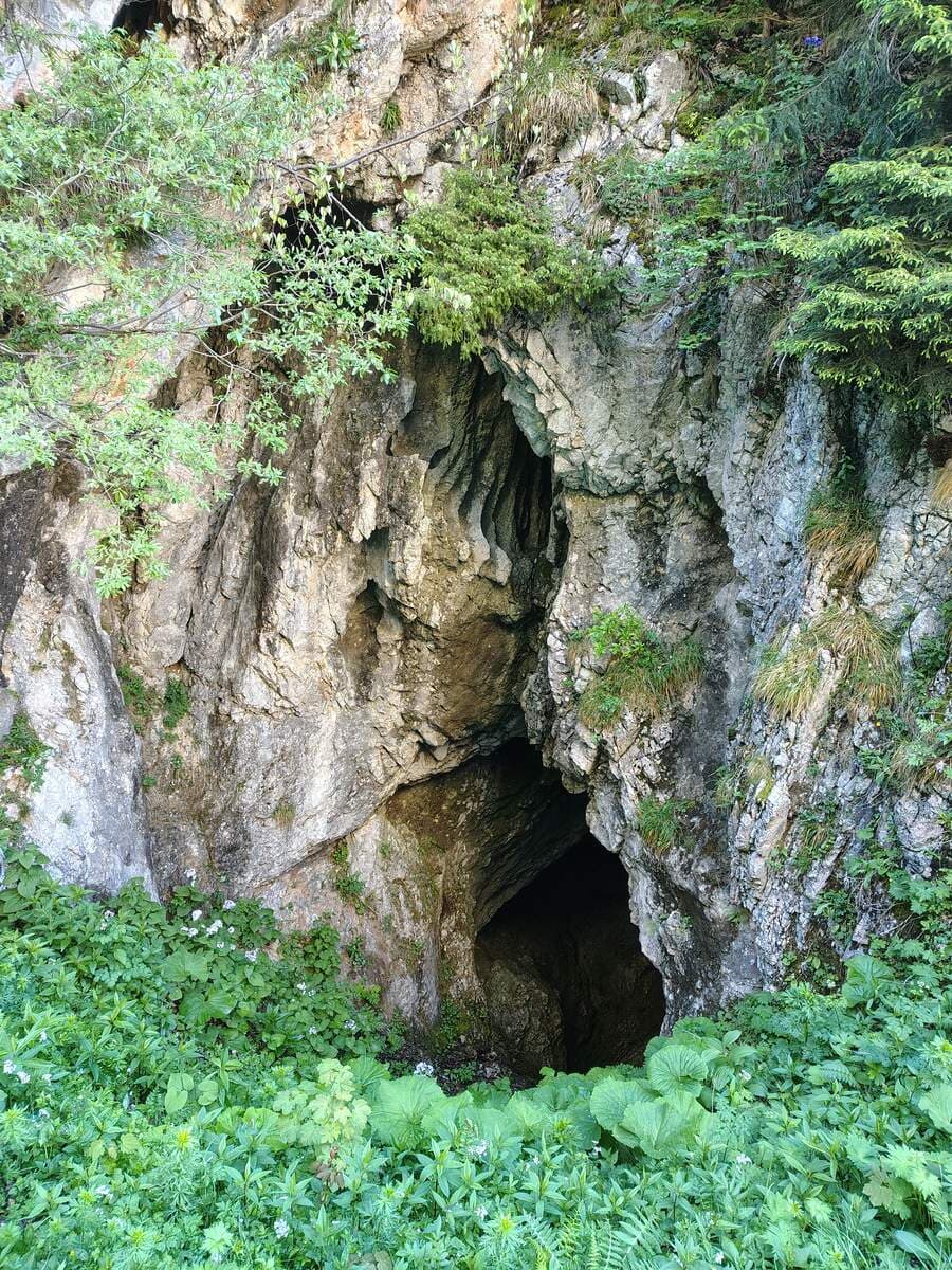 Saugrabenschacht