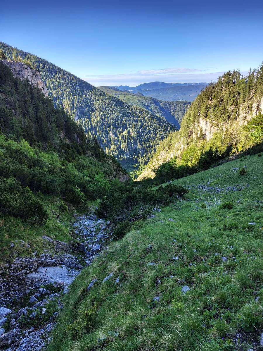 Rückblick