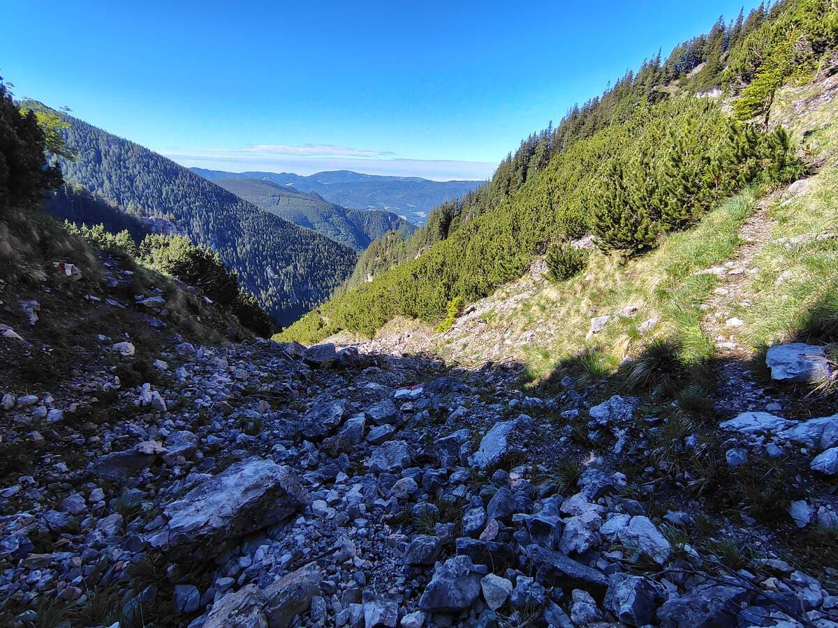 Grafensteig (links und rechts)