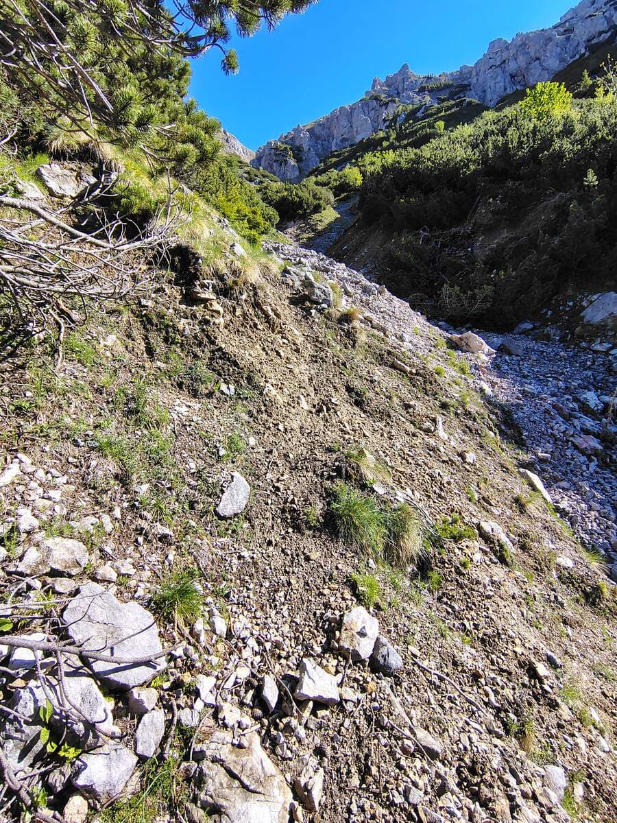 Steiglein