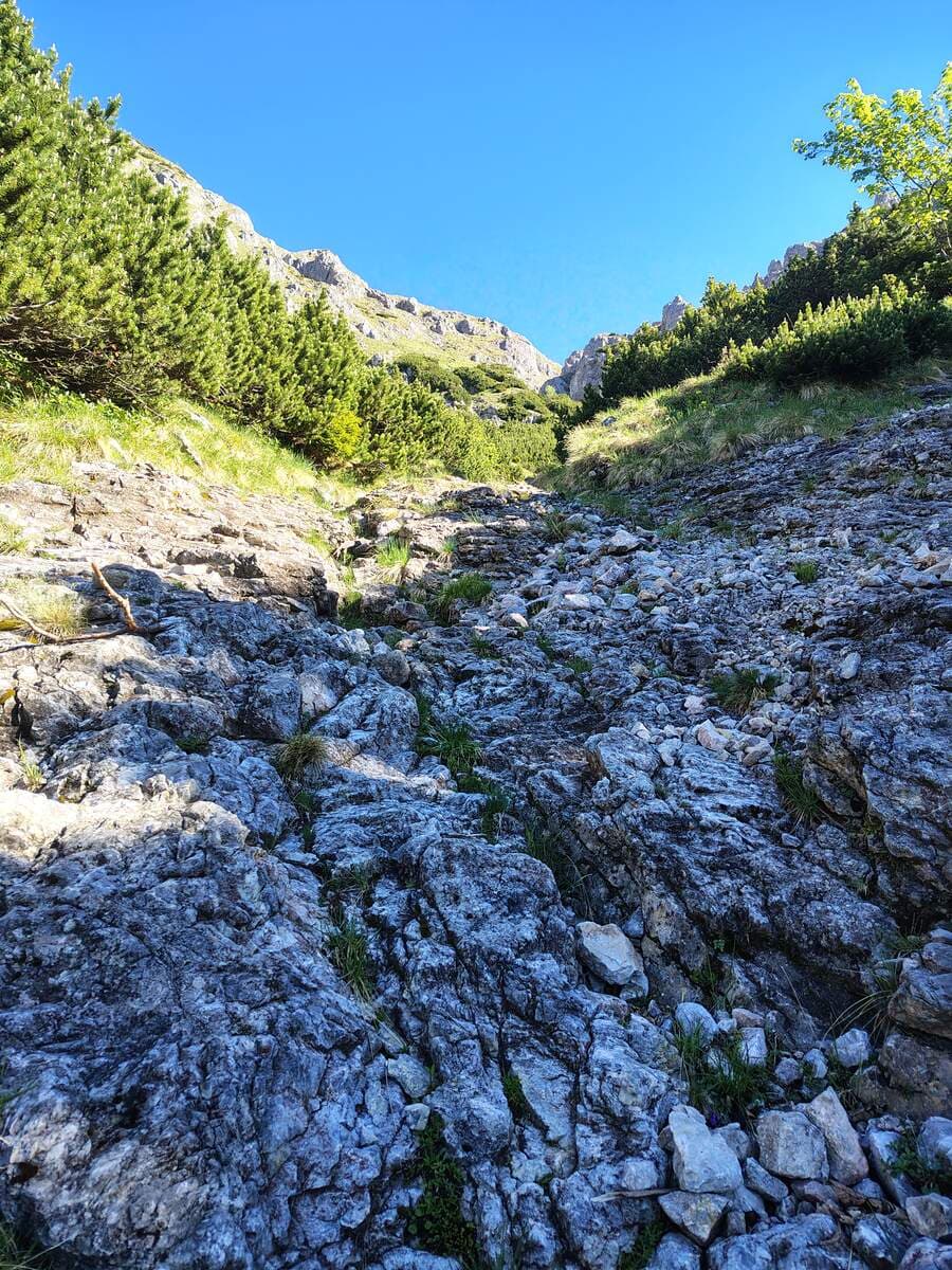 Verlauf nach der Abzweigung