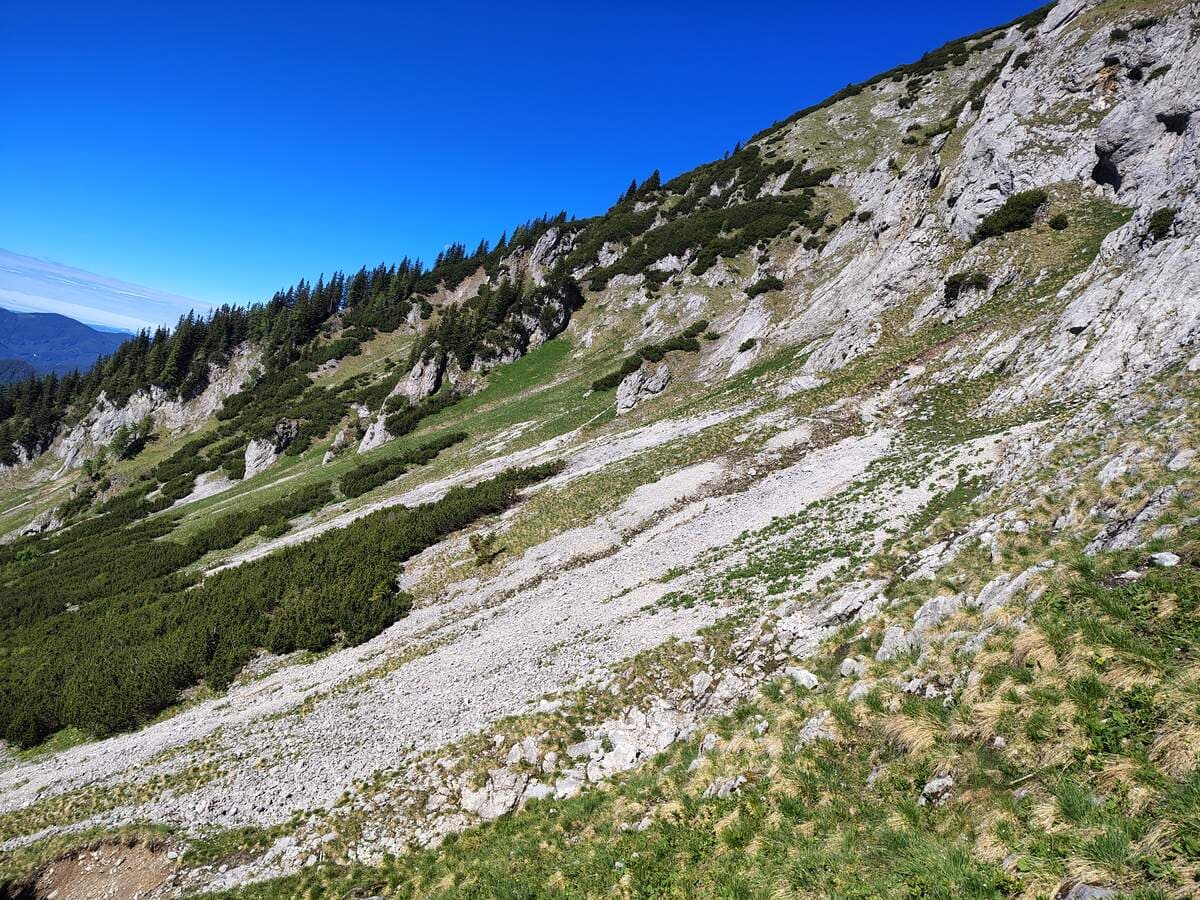 Rasenhalde, größere Felspartien im oberen Bereich