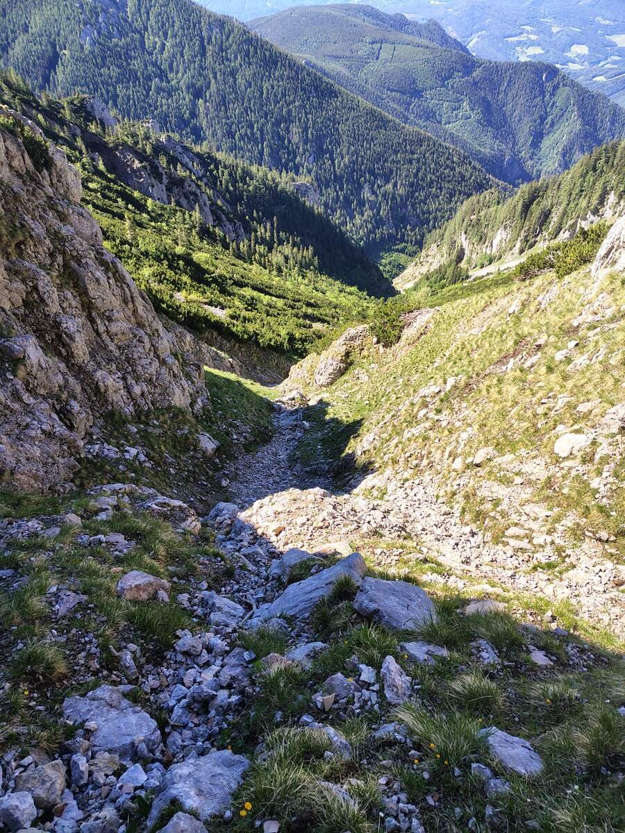 Blick zurück