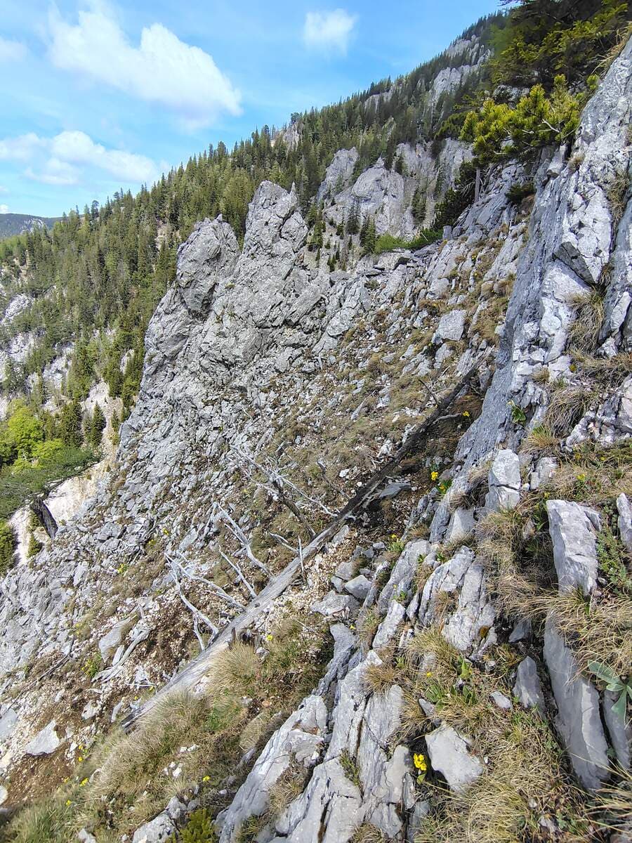 Verlauf