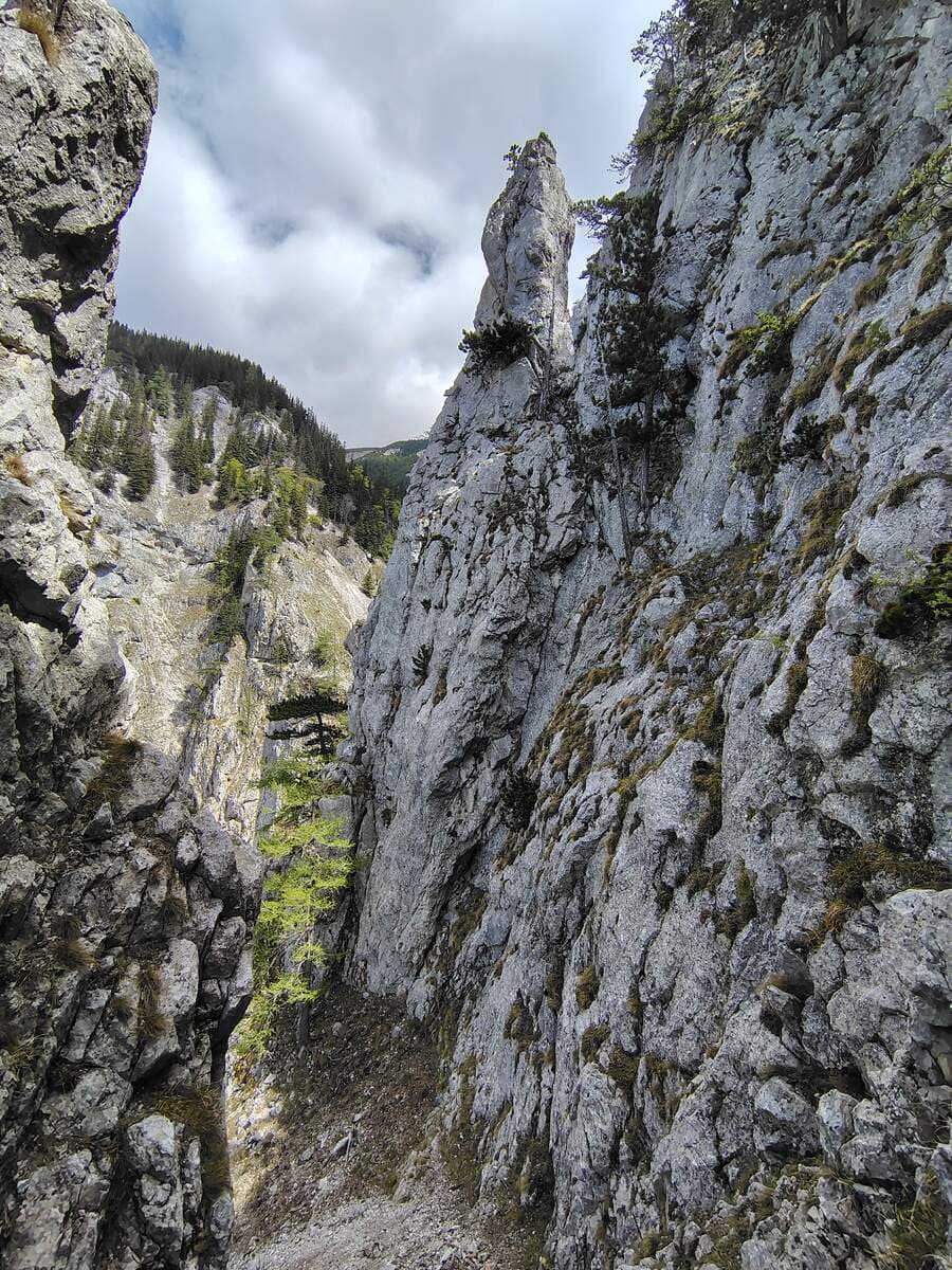 Blick nach oben bei der Schutthalde: Turm