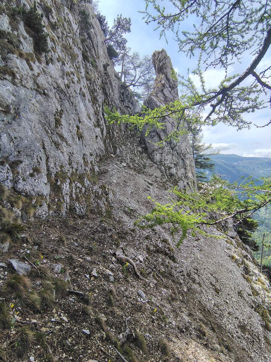 Rückblick